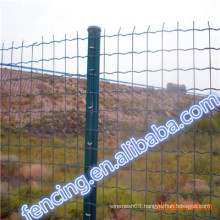 Factory Sale Low carbon steel Hot Dipped Galvanized Euro Fence/Pvc Coated Euro Fence
